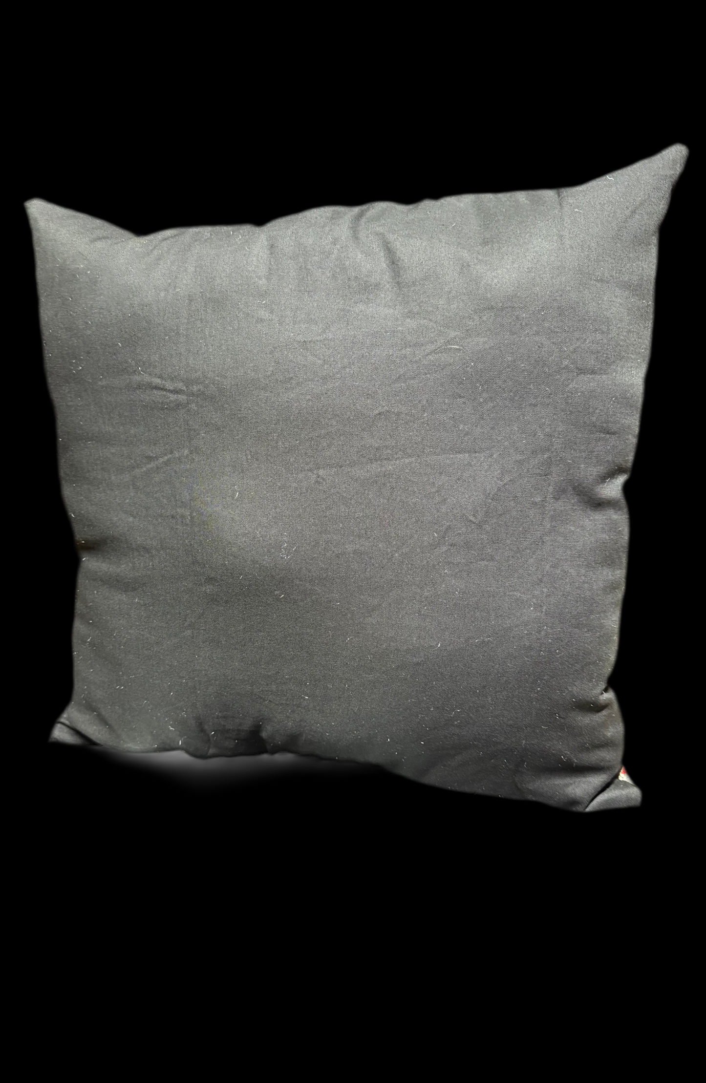 16”x16” Throw Pillow